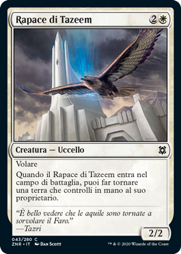 Rapace di Tazeem