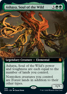 Ashaya, Soul of the Wild