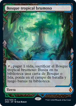 Bosque tropical brumoso