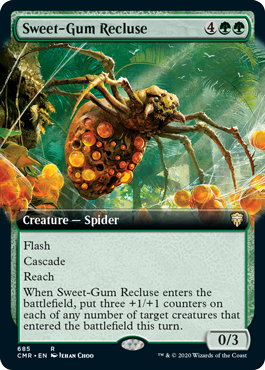 Sweet-Gum Recluse