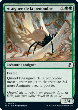 Araignée de la pénombre