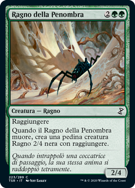 Ragno della Penombra