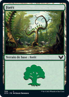 Forêt