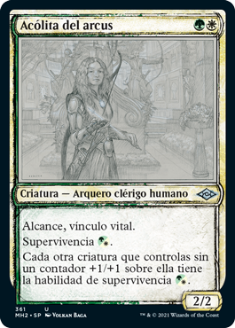 Acólita del arcus