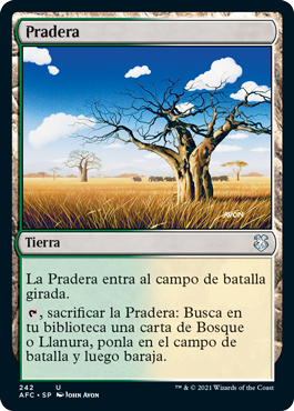 Pradera