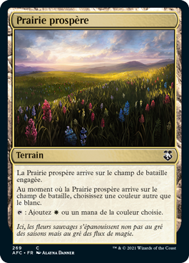 Prairie prospère