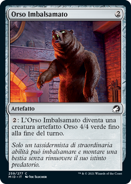 Orso Imbalsamato