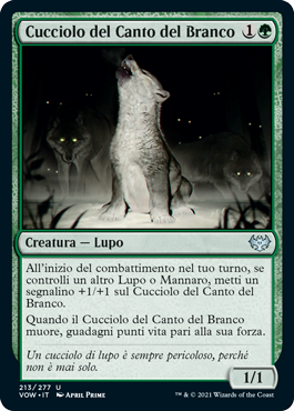 Cucciolo del Canto del Branco