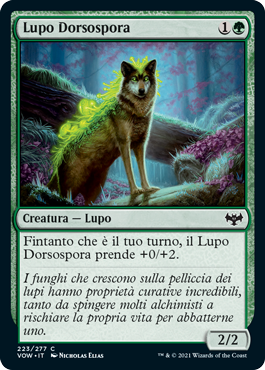 Lupo Dorsospora