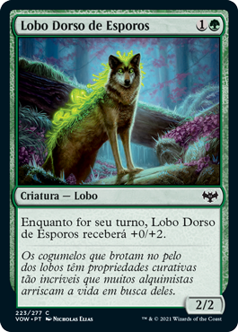 Lobo Dorso de Esporos