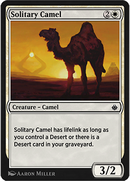 Solitary Camel