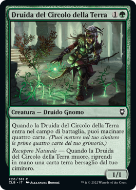 Druida del Circolo della Terra