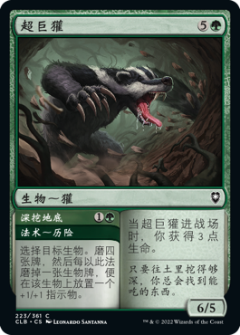 Colossal Badger