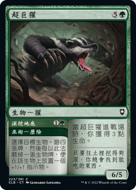 Colossal Badger