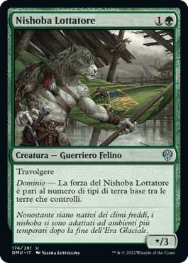 Nishoba Lottatore