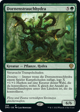 Dornenstrauchhydra