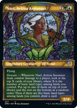 Nael, Avizoa Aeronaut