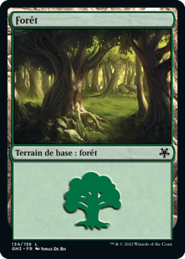 Forêt