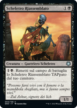 Scheletro Riassemblato