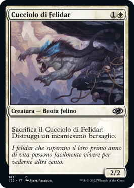 Cucciolo di Felidar