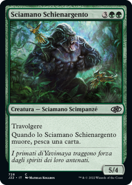 Sciamano Schienargento