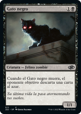 Gato negro