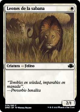 Leones de la sabana