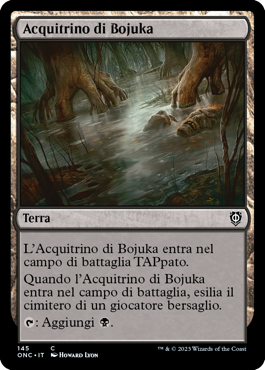 Acquitrino di Bojuka