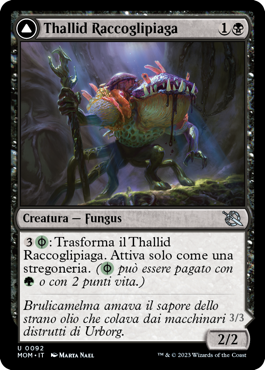 Thallid Raccoglipiaga