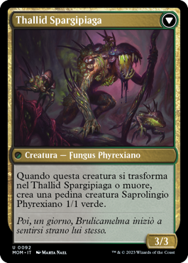 Thallid Spargipiaga