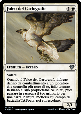 Falco del Cartografo