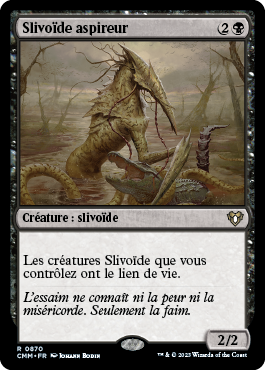 Slivoïde aspireur