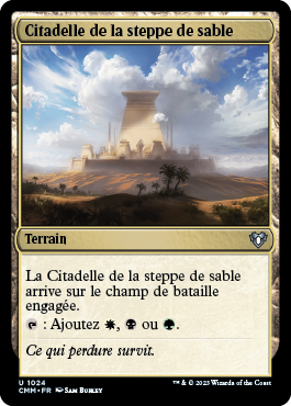 Citadelle de la steppe de sable