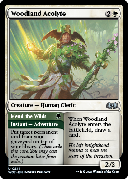 Woodland Acolyte (Mend the Wilds)