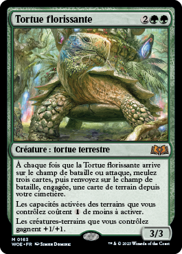 Tortue florissante