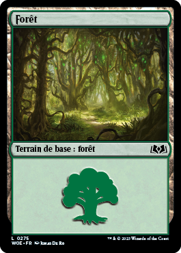 Forêt