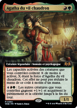 Agatha du vil chaudron