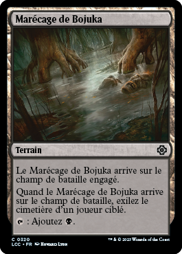 Marécage de Bojuka