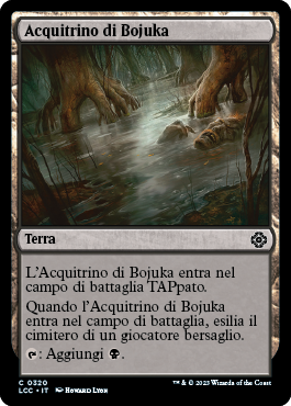 Acquitrino di Bojuka