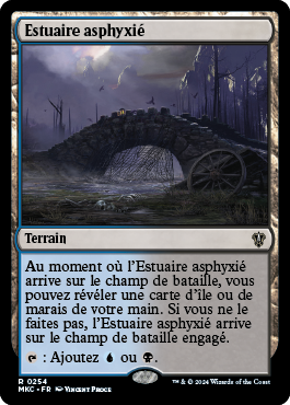 Estuaire asphyxié