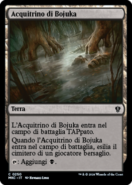 Acquitrino di Bojuka