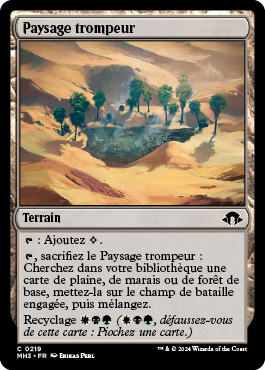 Paysage trompeur