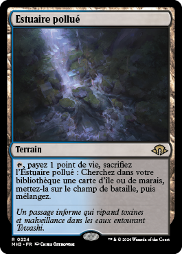 Estuaire pollué