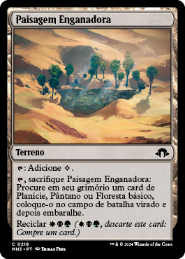 Paisagem Enganadora