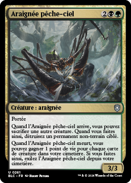 Araignée pêche-ciel