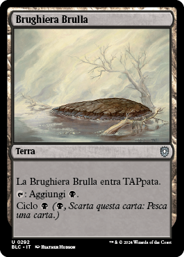 Brughiera Brulla