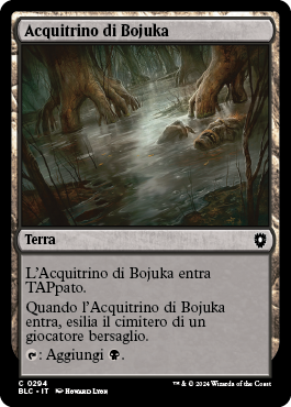 Acquitrino di Bojuka