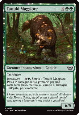 Tanuki Maggiore