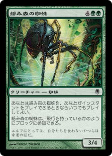 絡み森の蜘蛛