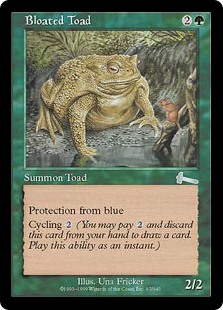 Picture of Bloated Toad                     